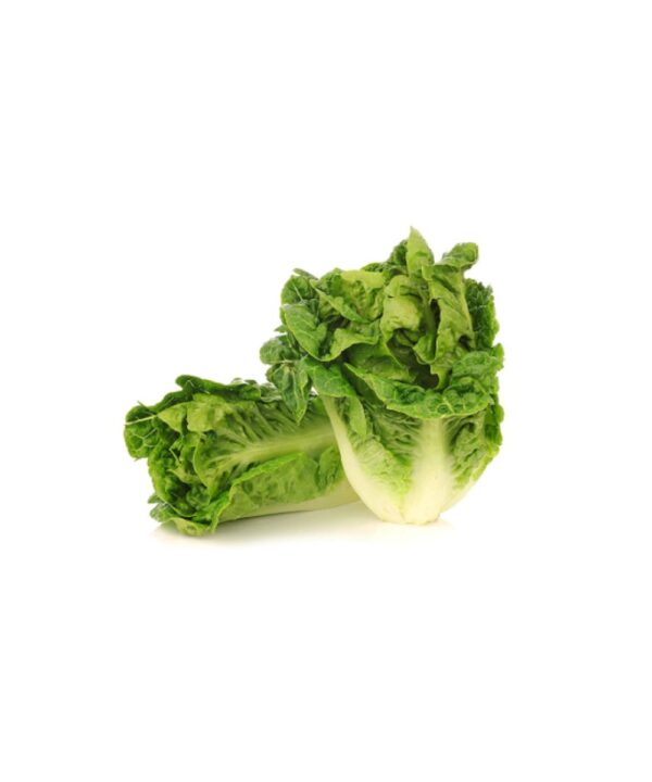 Organic Lettuce Little 2pcs